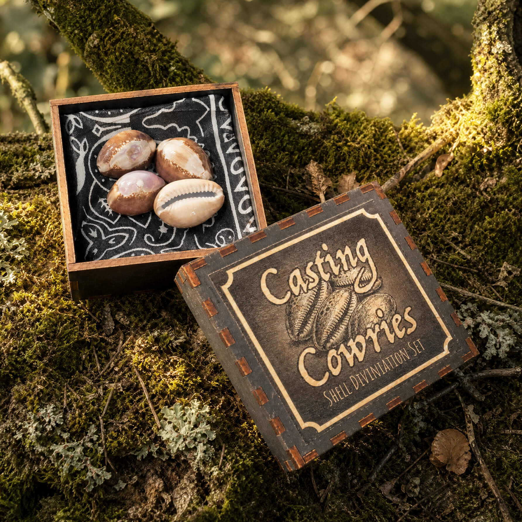 Cowrie Divination Set