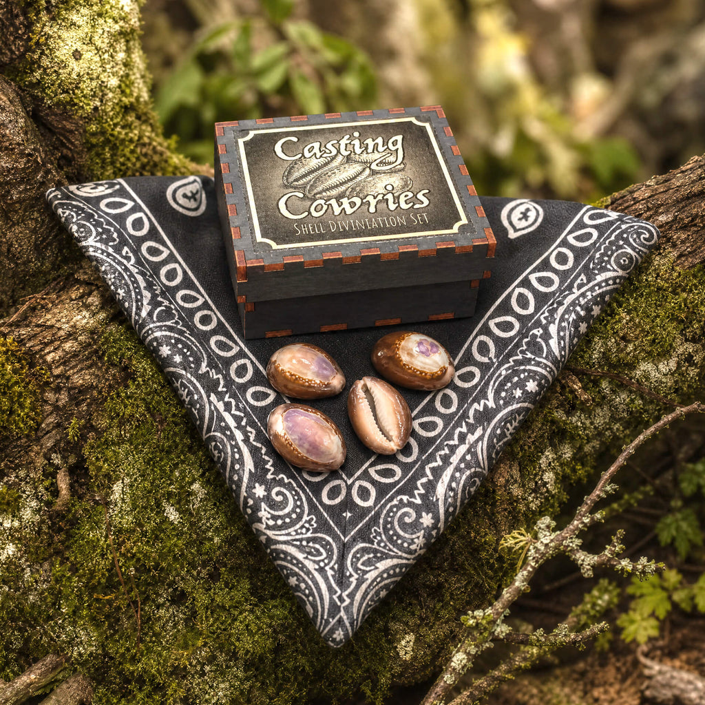 Cowrie Divination Set