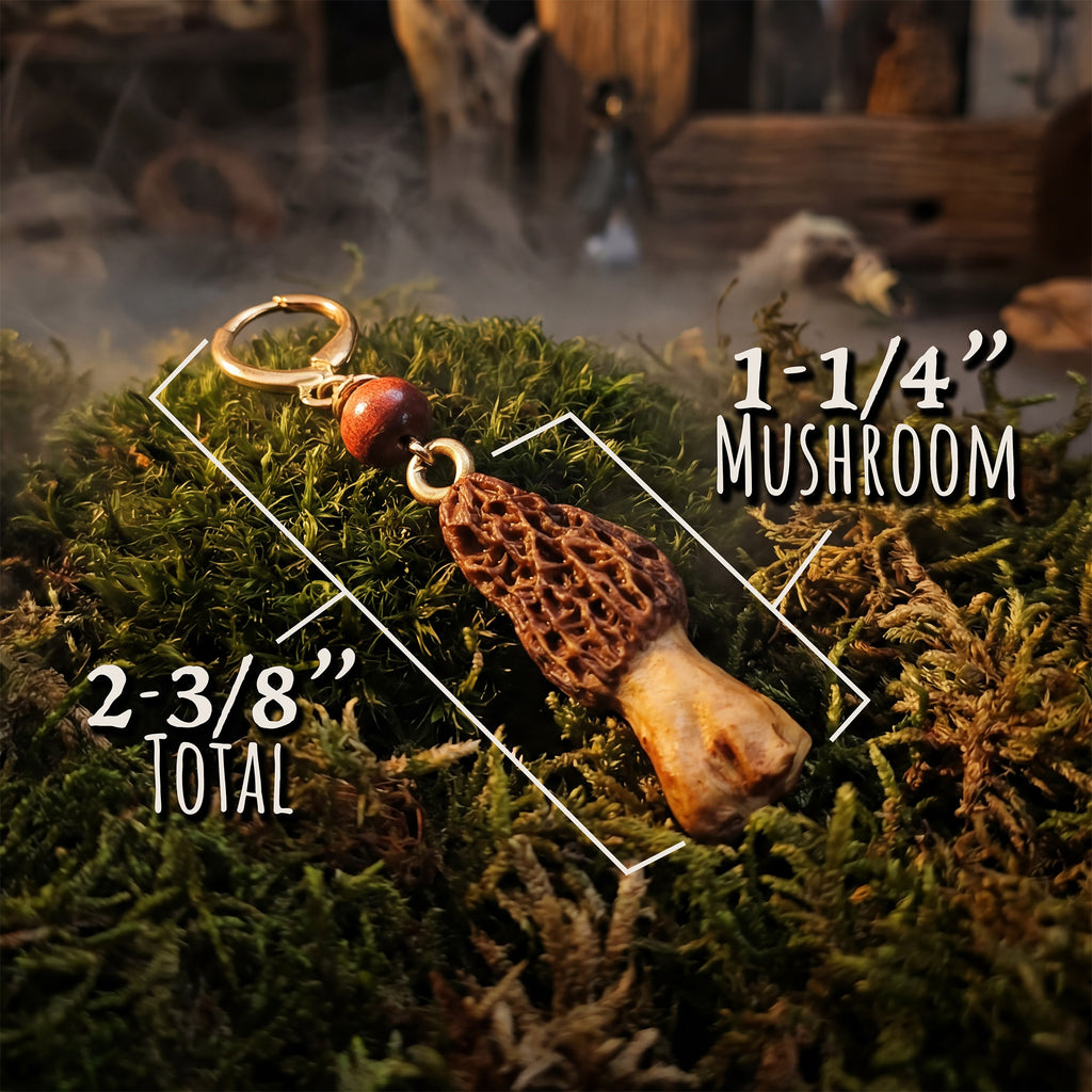 Morel & Tiger's Eye Earrings
